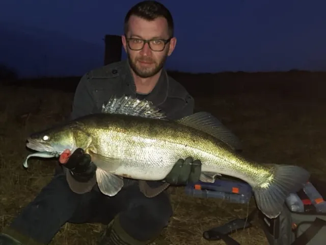 Zander