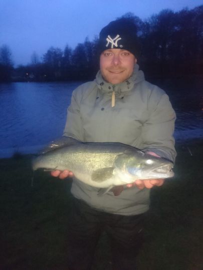 Zander