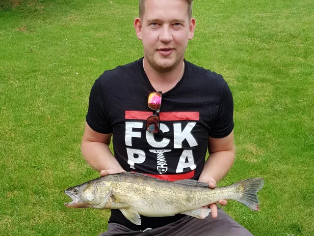 Zander