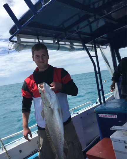 Amberjack