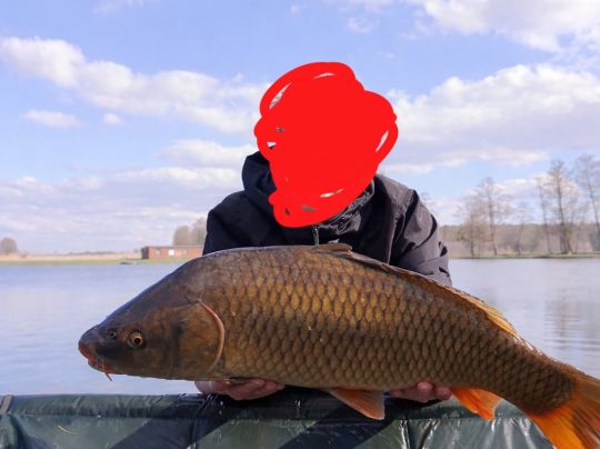 Karpfen