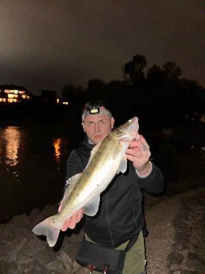 Zander