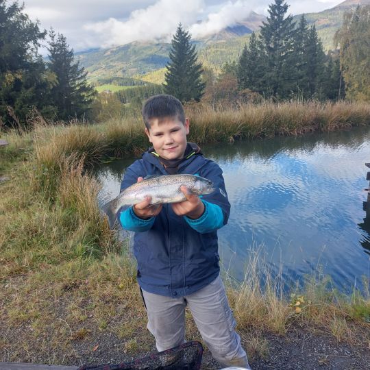 Regenbogenforelle