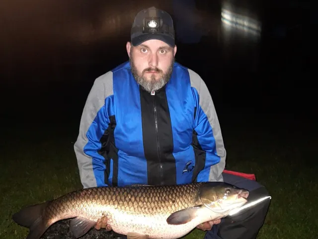 Graskarpfen