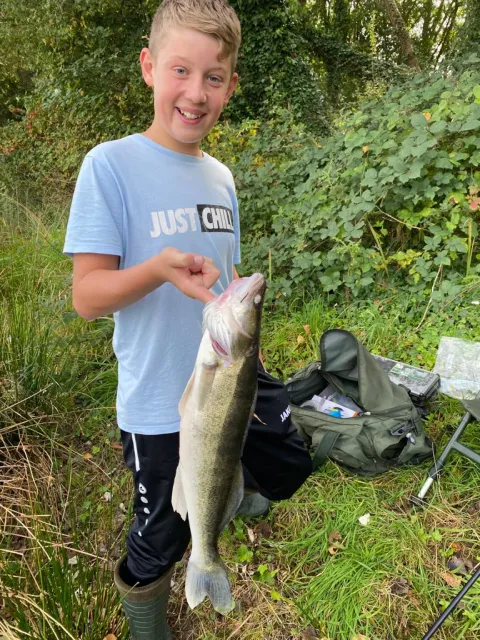Zander