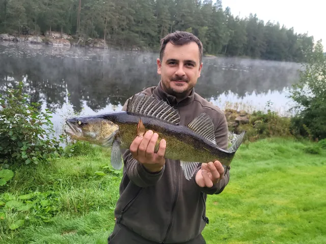Zander