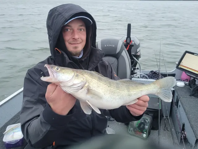 Zander