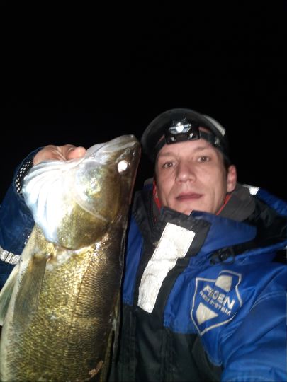 Zander