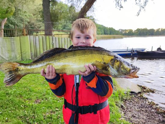 Zander