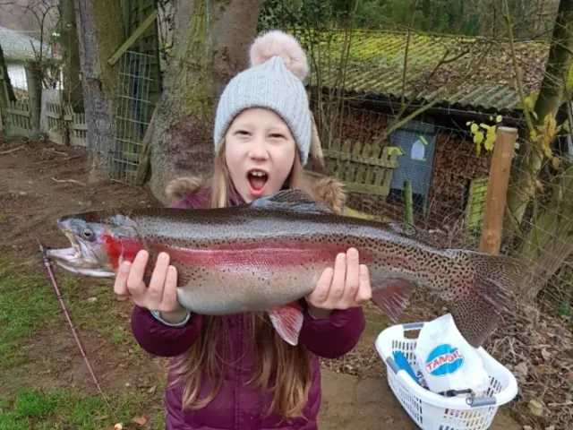 Regenbogenforelle