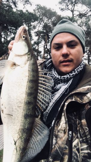 Zander