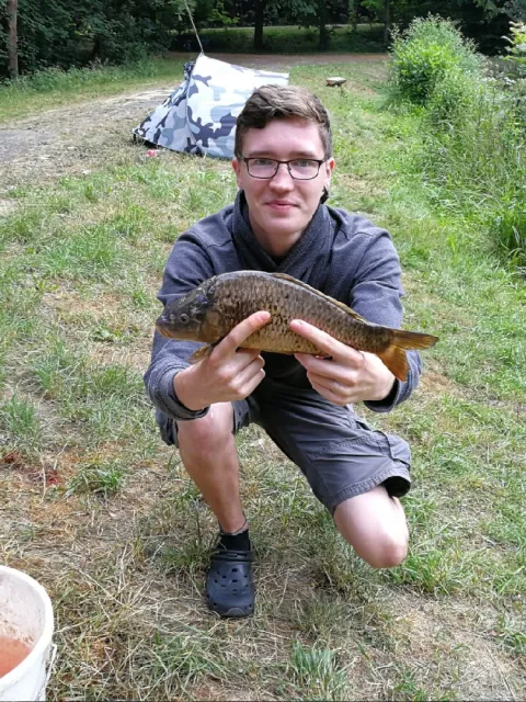 Karpfen