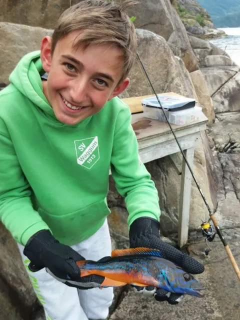 Lippfisch