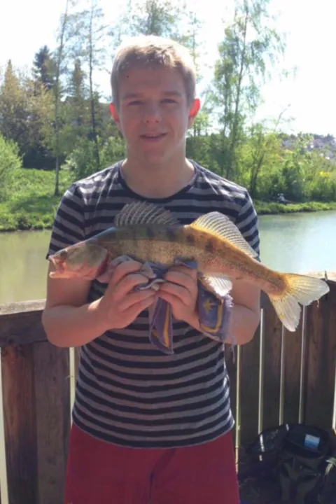 Zander