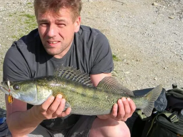 Zander