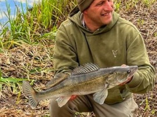 Zander