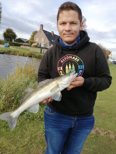 Zander