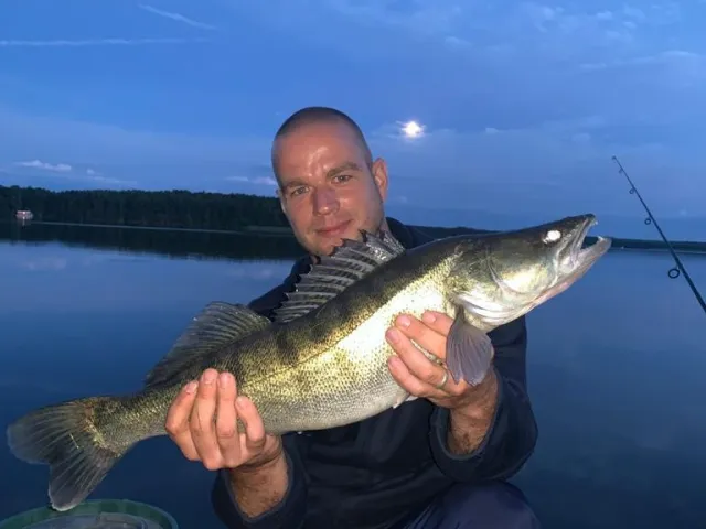 Zander