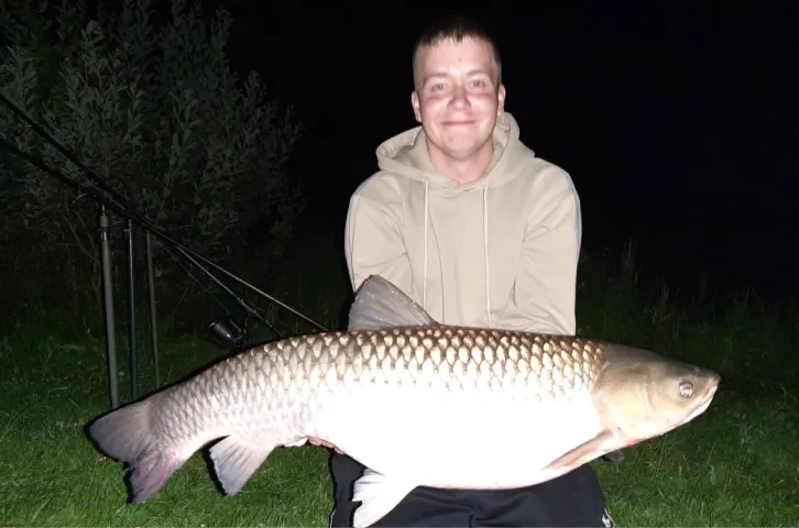 Karpfen