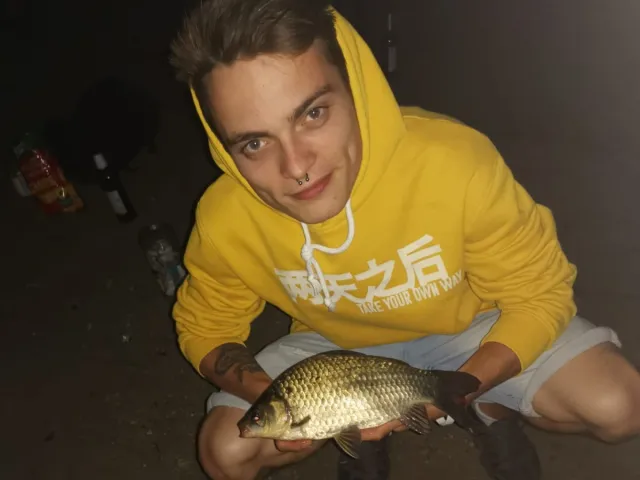 Giebel
