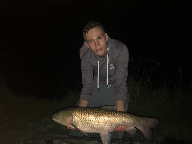 Graskarpfen