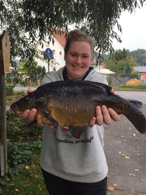 Karpfen