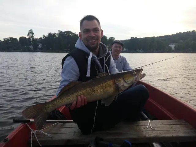 Zander