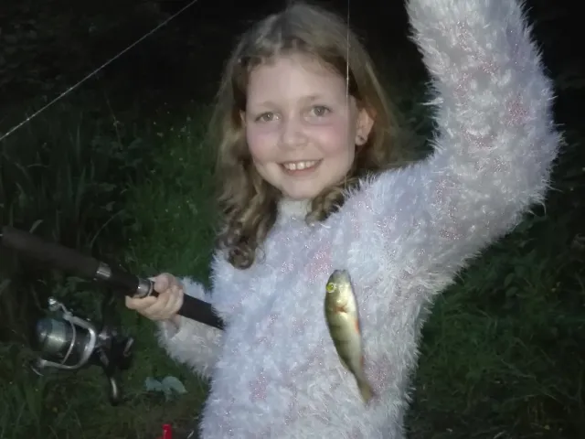Flussbarsch