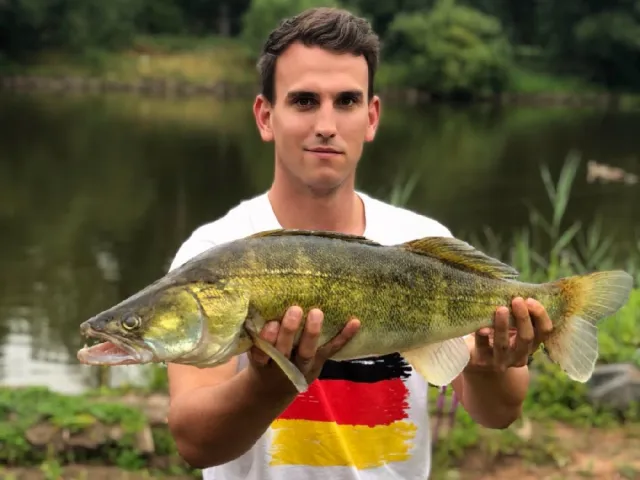 Zander