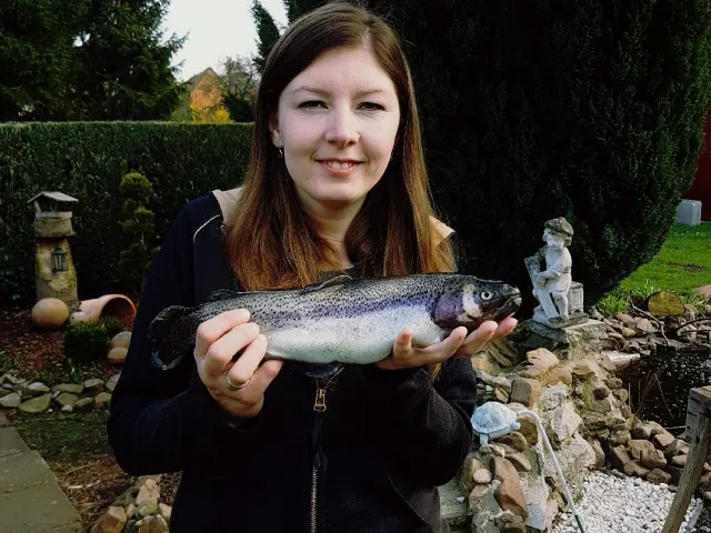 Regenbogenforelle