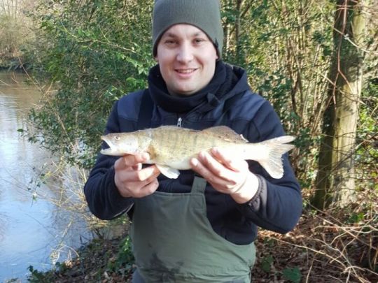 Zander