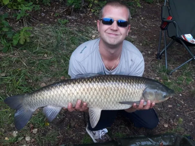 Graskarpfen