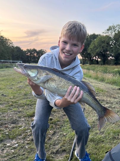 Zander