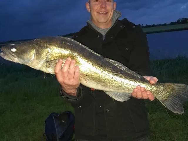 Zander