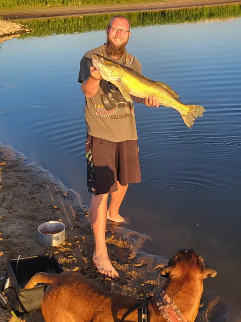 Zander