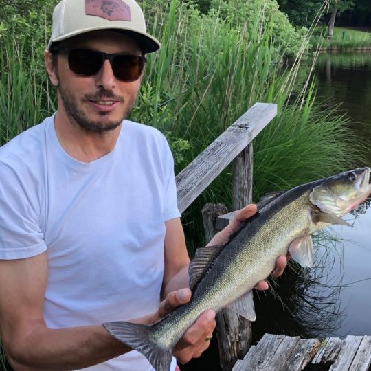 Zander