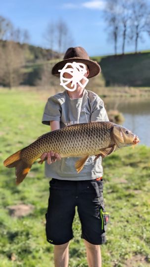 Karpfen