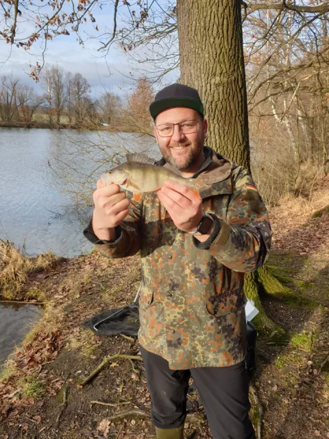 Flussbarsch