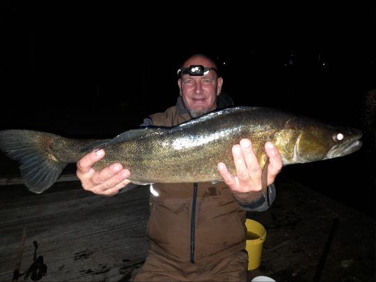 Zander