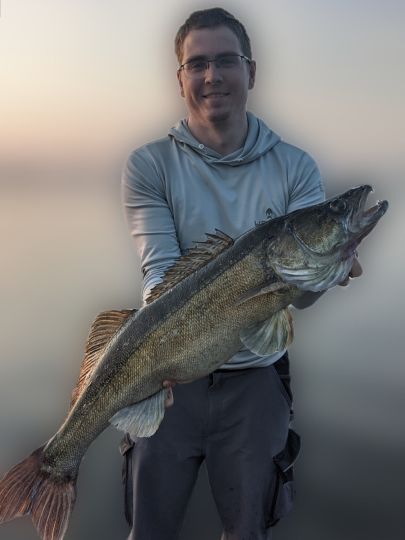 Zander