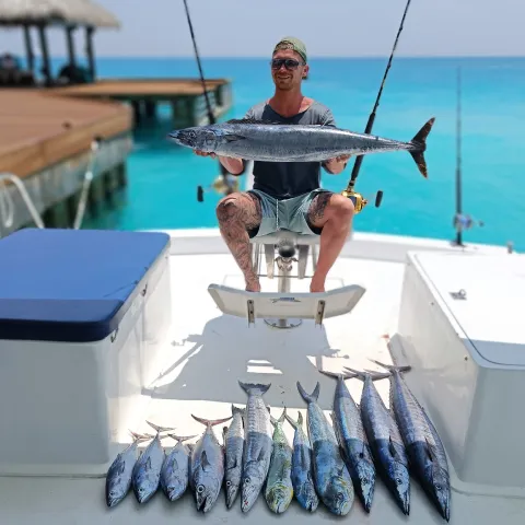 Bonito