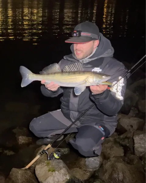 Zander