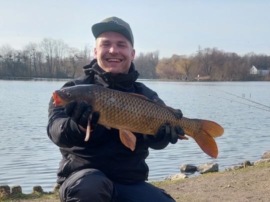 Karpfen