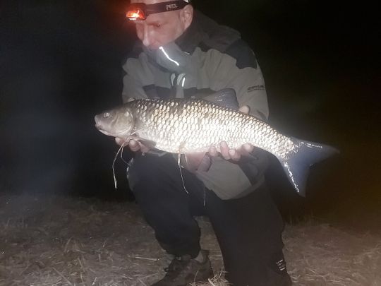 Döbel