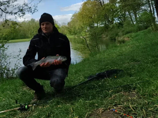 Regenbogenforelle