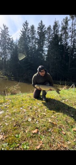 Graskarpfen
