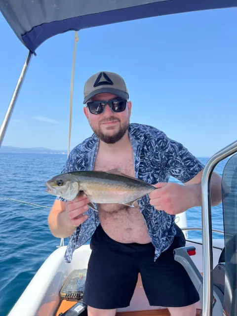 Amberjack
