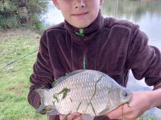 Giebel