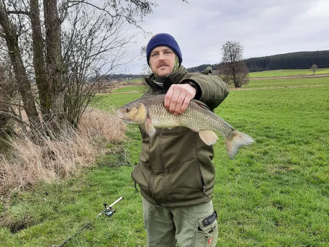 Döbel