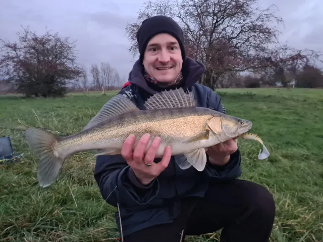 Zander